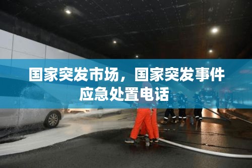 國家突發(fā)市場，國家突發(fā)事件應(yīng)急處置電話 