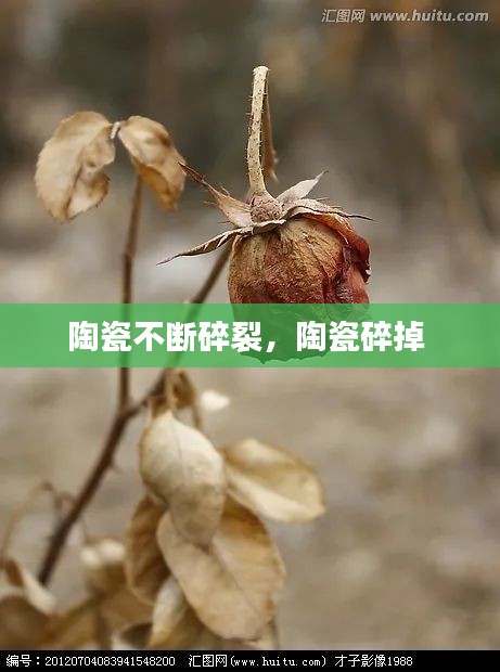 陶瓷不斷碎裂，陶瓷碎掉 