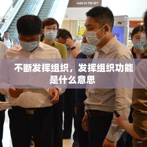 不斷發(fā)揮組織，發(fā)揮組織功能是什么意思 