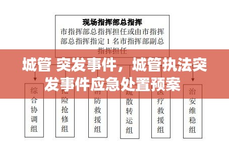 城管 突發(fā)事件，城管執(zhí)法突發(fā)事件應(yīng)急處置預(yù)案 