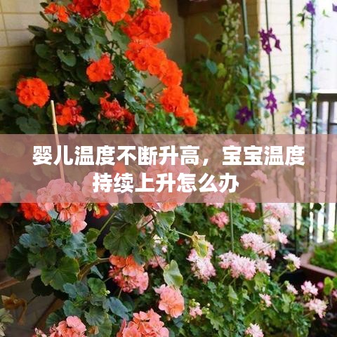 嬰兒溫度不斷升高，寶寶溫度持續(xù)上升怎么辦 