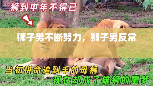 獅子男不斷努力，獅子男反常 