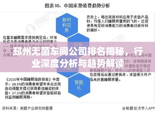邳州無(wú)菌車間公司排名揭秘，行業(yè)深度分析與趨勢(shì)解讀