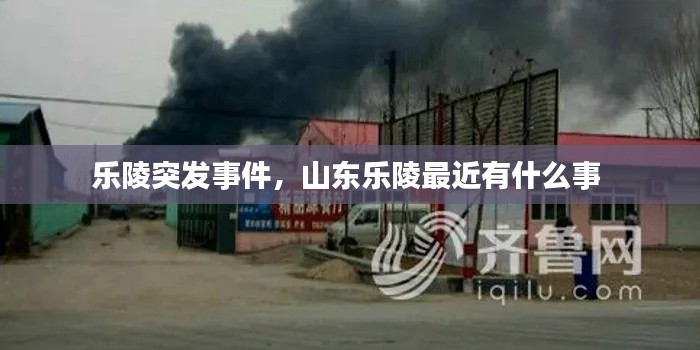 樂陵突發(fā)事件，山東樂陵最近有什么事 