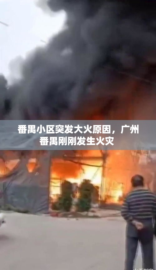 番禺小區(qū)突發(fā)大火原因，廣州番禺剛剛發(fā)生火災(zāi) 