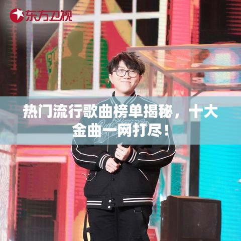 熱門流行歌曲榜單揭秘，十大金曲一網(wǎng)打盡！