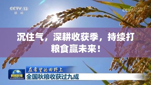 沉住氣，深耕收獲季，持續(xù)打糧食贏未來！