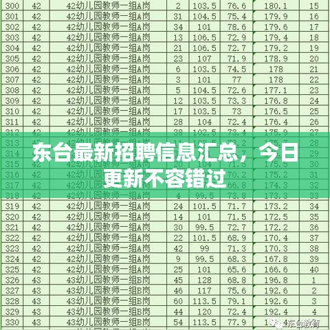 東臺(tái)最新招聘信息匯總，今日更新不容錯(cuò)過(guò)