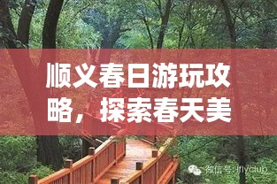 順義春日游玩攻略，探索春天美景，盡享愜意時光！