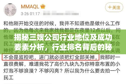 揭秘三嫂公司行業(yè)地位及成功要素分析，行業(yè)排名背后的秘密！