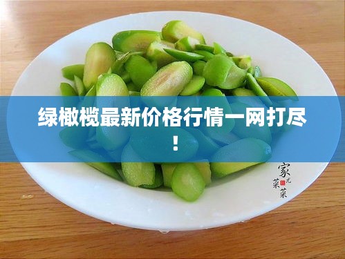 綠橄欖最新價(jià)格行情一網(wǎng)打盡！