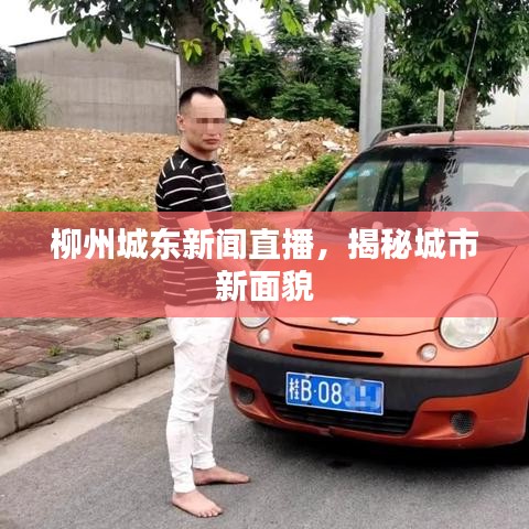 柳州城東新聞直播，揭秘城市新面貌