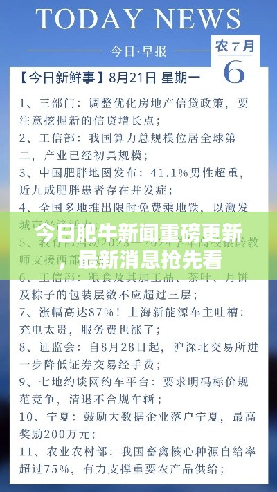今日肥牛新聞重磅更新，最新消息搶先看