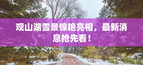觀山湖雪景驚艷亮相，最新消息搶先看！