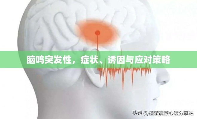 腦鳴突發(fā)性，癥狀、誘因與應(yīng)對策略