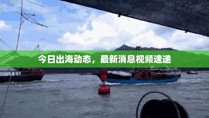 今日出海動態(tài)，最新消息視頻速遞