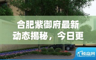 合肥紫御府最新動態(tài)揭秘，今日更新消息！