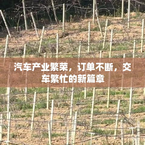 汽車產(chǎn)業(yè)繁榮，訂單不斷，交車繁忙的新篇章
