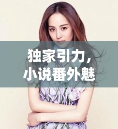 獨家引力，小說番外魅力大揭秘