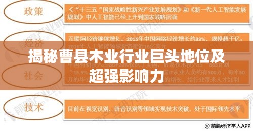 揭秘曹縣木業(yè)行業(yè)巨頭地位及超強(qiáng)影響力