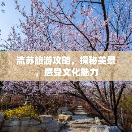 流蘇旅游攻略，探秘美景，感受文化魅力