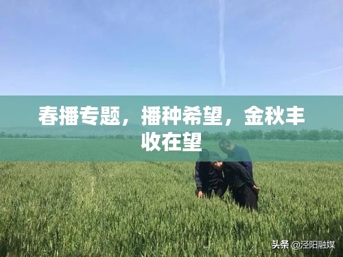 春播專題，播種希望，金秋豐收在望