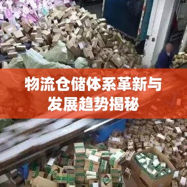 物流倉儲體系革新與發(fā)展趨勢揭秘