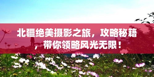 北疆絕美攝影之旅，攻略秘籍，帶你領(lǐng)略風(fēng)光無限！