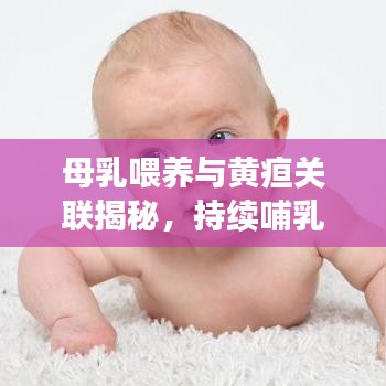 母乳喂養(yǎng)與黃疸關聯揭秘，持續(xù)哺乳助力退黃，科學解讀黃疸與母乳關系