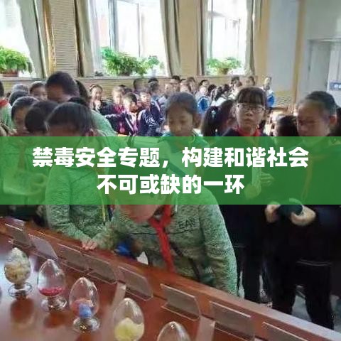 禁毒安全專題，構(gòu)建和諧社會(huì)不可或缺的一環(huán)