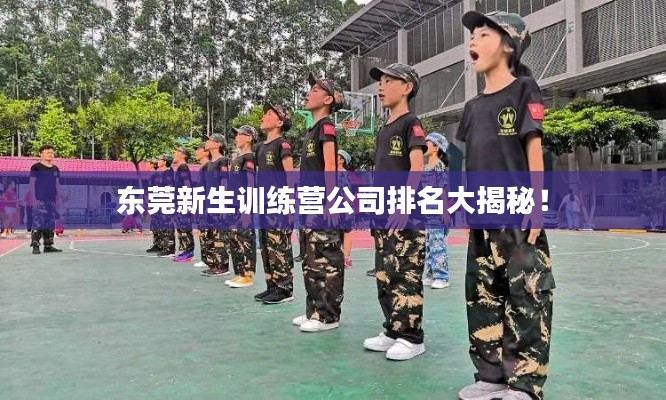 東莞新生訓(xùn)練營公司排名大揭秘！
