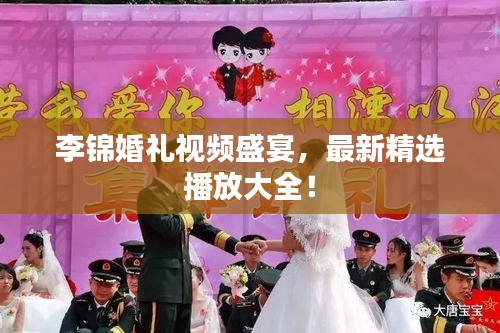 李錦婚禮視頻盛宴，最新精選播放大全！
