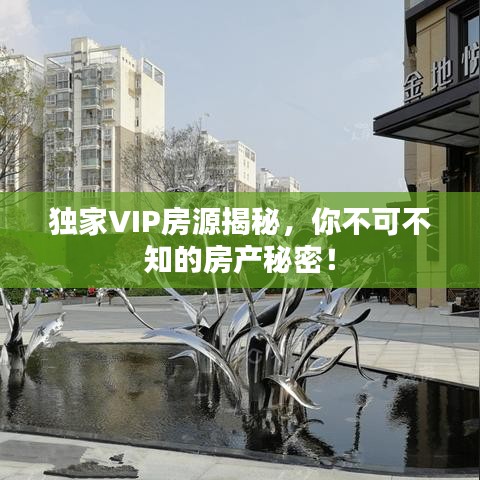 獨(dú)家VIP房源揭秘，你不可不知的房產(chǎn)秘密！