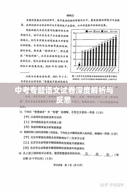 中考專題語(yǔ)文試卷深度解析與反思