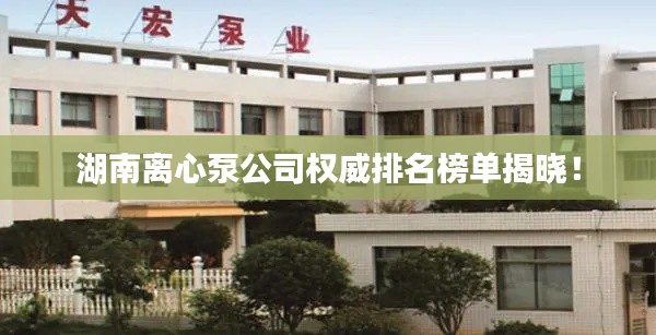 湖南離心泵公司權(quán)威排名榜單揭曉！