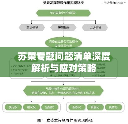蘇榮專題問題清單深度解析與應(yīng)對(duì)策略
