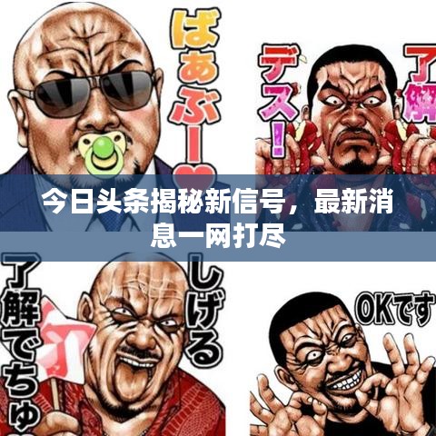 今日頭條揭秘新信號(hào)，最新消息一網(wǎng)打盡