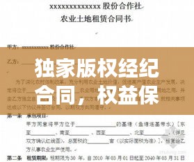 獨家版權(quán)經(jīng)紀合同，權(quán)益保障與責任明確全攻略