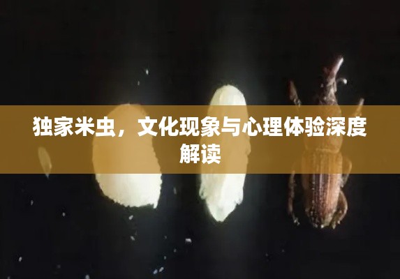 獨(dú)家米蟲(chóng)，文化現(xiàn)象與心理體驗(yàn)深度解讀