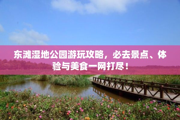 東灘濕地公園游玩攻略，必去景點、體驗與美食一網(wǎng)打盡！