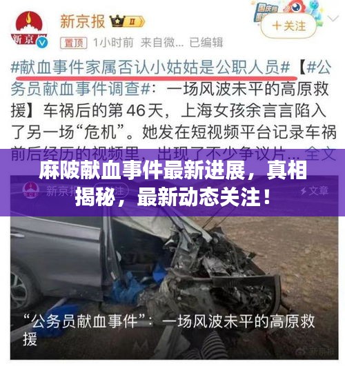 麻陂獻(xiàn)血事件最新進(jìn)展，真相揭秘，最新動(dòng)態(tài)關(guān)注！