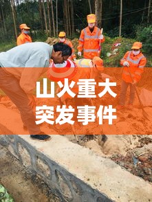 山火重大突發(fā)事件應(yīng)對(duì)與反思，如何守護(hù)綠水青山？