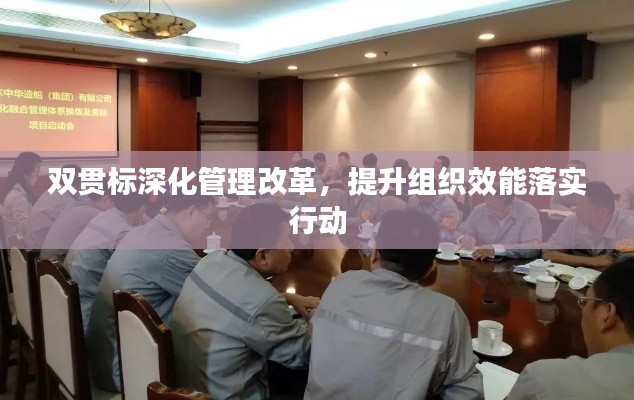雙貫標(biāo)深化管理改革，提升組織效能落實(shí)行動(dòng)
