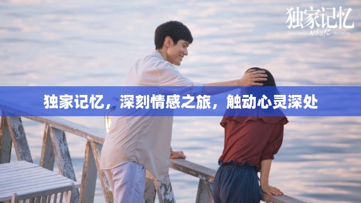 獨(dú)家記憶，深刻情感之旅，觸動(dòng)心靈深處