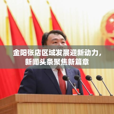 金陽張店區(qū)域發(fā)展迎新動(dòng)力，新聞?lì)^條聚焦新篇章