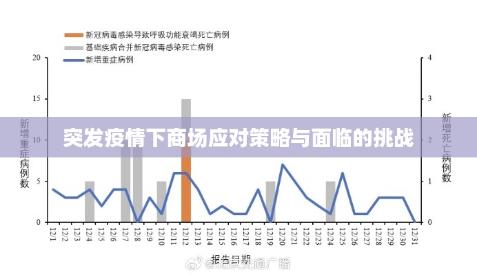 突發(fā)疫情下商場應(yīng)對策略與面臨的挑戰(zhàn)