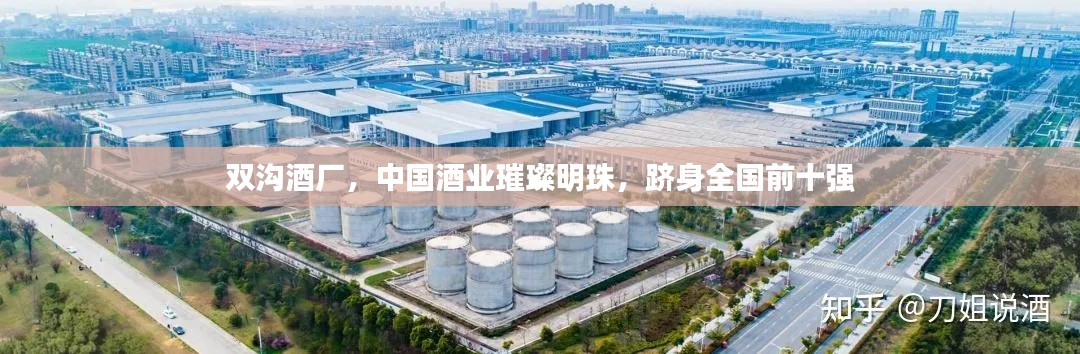 雙溝酒廠，中國酒業(yè)璀璨明珠，躋身全國前十強(qiáng)