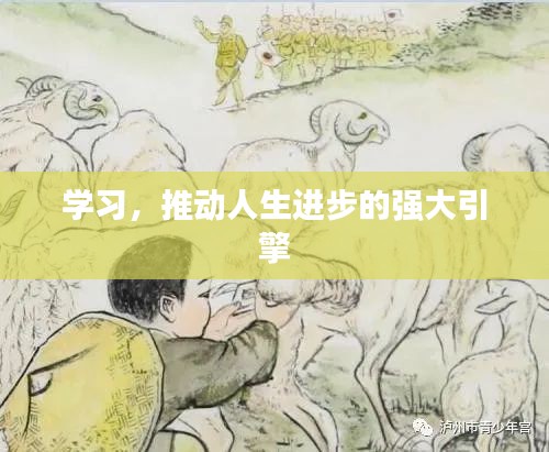 學習，推動人生進步的強大引擎