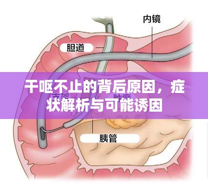 干嘔不止的背后原因，癥狀解析與可能誘因