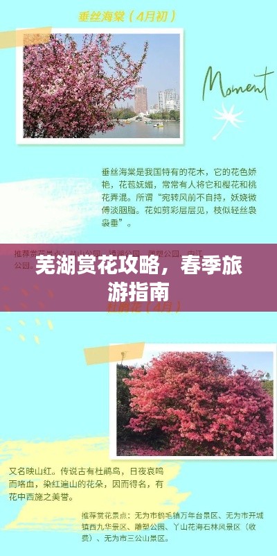 蕪湖賞花攻略，春季旅游指南